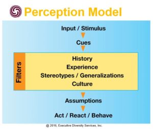 Perception Model and Unconscious Bias